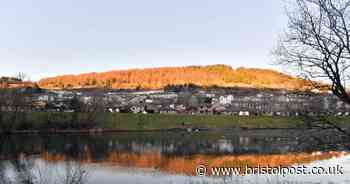 Huge country park an hour's drive from Bristol with lush walks, 'secret' mini lake and popular café