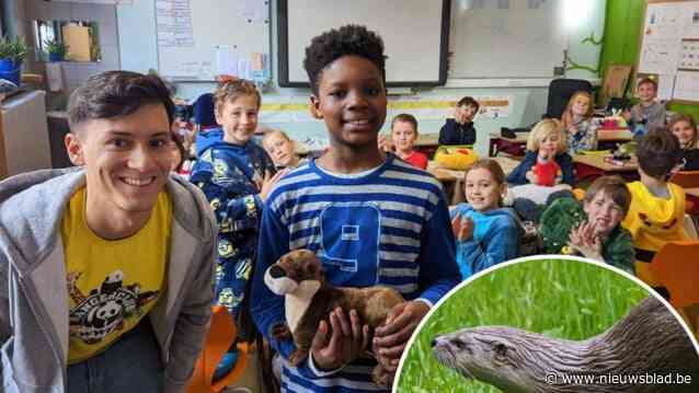 Leerlingen Huveneerschool halen 324 kilo afval uit natuur en helpen definitieve terugkeer van otter