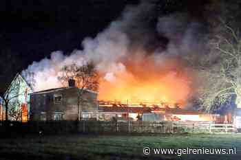 Tientallen schapen omgekomen bij grote brand in schuur
