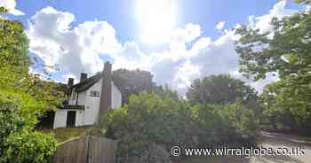 Council approves flat plans despite concerns about ‘girthy trees’