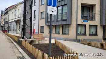 Scherpe paaltjes in de plantvakken van de Otterstraat: "Dit lijkt mij niet de goede keuze"