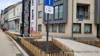 Omwonenden stellen zich vragen over scherpe paaltjes in de plantvakken van deze straat: "Dit lijkt mij niet de goede keuze"