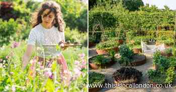 The 'green sanctuary' in the heart of an urban village which is building a barn