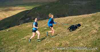Dog walkers in Northumberland given guidance for visiting popular beauty spots this spring