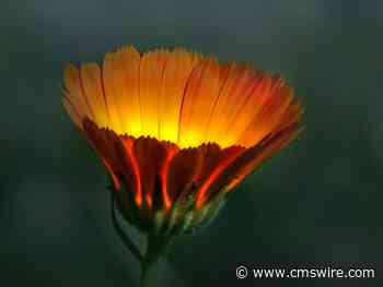 Your Content Needs a Glow-Up: The Case for Going Multimodal