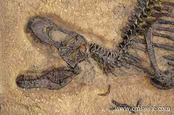 The AI Extinction Event: Brands That Can’t Adapt Will Disappear