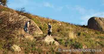 Foreign Office alert to Brits travelling to hotspot after 'violent attacks'