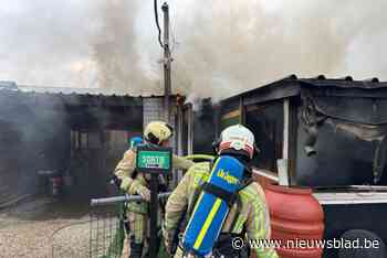 Brand in hondenclub Ouragan: twee lichtgewonden door rook
