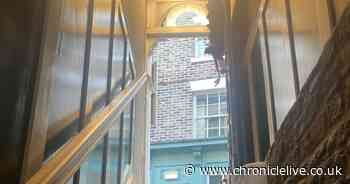 The 'hidden' Durham city restaurant you'd pass without noticing but really need to go in