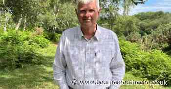 More than 2,000 people sign petition against New Forest and Southampton merger