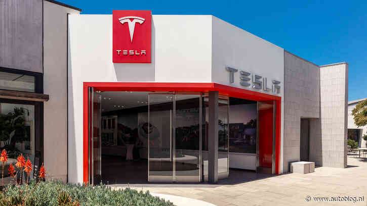 ‘Tesla-terrorist’ hangt 20 jaar celstraf boven het hoofd