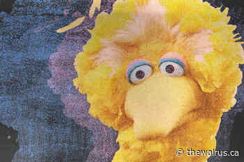 What Cancellation Of Big Bird Tells Us About The State Of Our Public Good