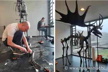 Open-labdag toont Iers Reuzenhert: “Gewei van 3 meter breed”