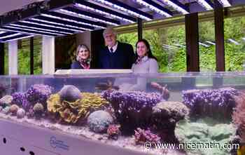 Le Dr Jean-Jacques Risso nommé président du Centre Scientifique de Monaco