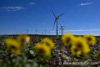 Hérault: des éoliennes sur le banc des accusés pour la mort d'oiseaux protégés