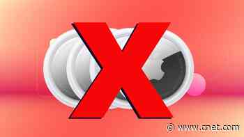 Don't Use AirTags to Track Your Pets. Try These Expert-Approved Alternatives Instead