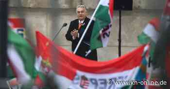 Orban bezeichnet politische Gegner als „Wanzen“