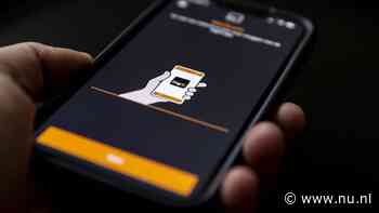 Website van criminelen die DigiD-inlogcodes willen stelen uit de lucht gehaald