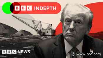 The unexpected knock-on effect of Trump's minerals 'deal of the century'