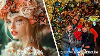 “Bloesems en 1.200 vogeltjes”: Christmas Alley wordt omgebouwd tot Blossom Alley