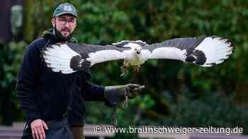 Vogelpark Walsrode startet in Saison – das ist neu