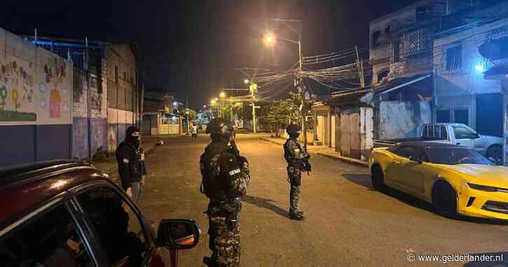 Politie pakt bende achter grootste partij cocaïne ooit in Nederland: vijftig aanhoudingen