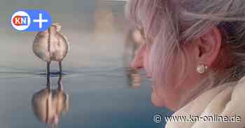 Kulturtipp: Fotografien von Gunnar Asmus, dem Maler mit der Kamera