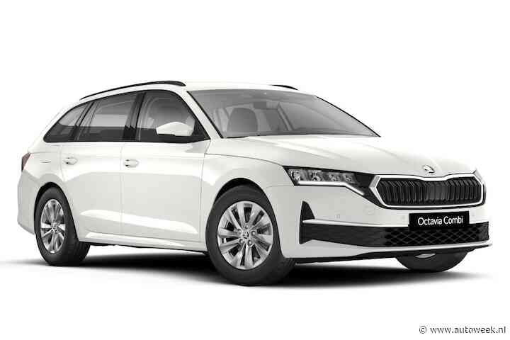 Top 20-auto’s uitgelicht: de Skoda Octavia
