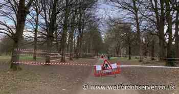 Cassiobury Park path taped-off due to 'dangerous tree'