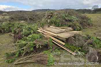 Müll auf dem Osterfeuer-Stapel: Feuerwehr ist sauer