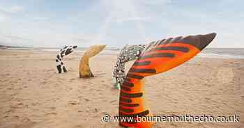 Where can you see a mermaid this spring?