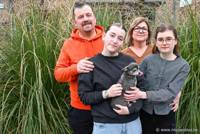 Leven met anorexia in je gezin: “Eten is een onderneming van lange adem, het duurt anderhalf uur om een maaltijd te verorberen”