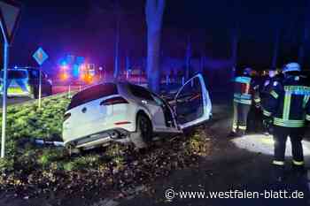 Wagen kommt von der Straße ab