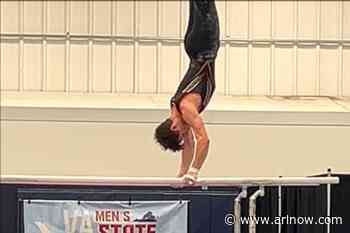 Arlington Tigers excel at statewide gymnastic championships