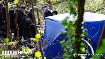 Man's blood was on murder-accused's carpet - trial