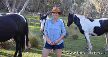 International treechange leads to horse stud, farmstay, accidental TV career