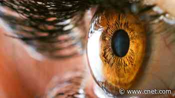 Transform Your Eye Health With These 6 Vitamins and Supplements