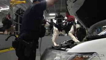 Drug-sniffing dog among changes at Quebec-U.S. border crossing as security tightens