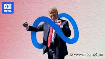 Free expression or 'fake news': media's fight for truth