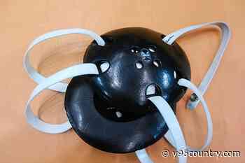 Wyoming Coaches Association All-State Wrestlers in 2025