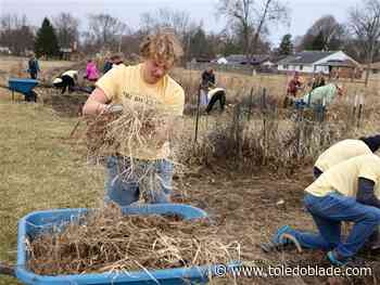 Photo Gallery: University of Toledo BIG Event at the TUC Garden