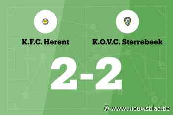 Sterrebeek sleept gelijkspel uit de brand in de uitwedstrijd tegen Herent B