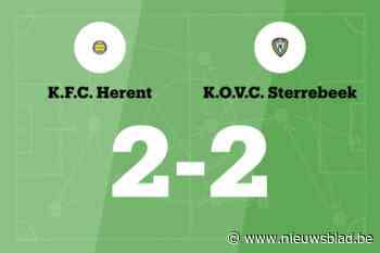 Sterrebeek sleept gelijkspel uit de brand in de uitwedstrijd tegen Herent B