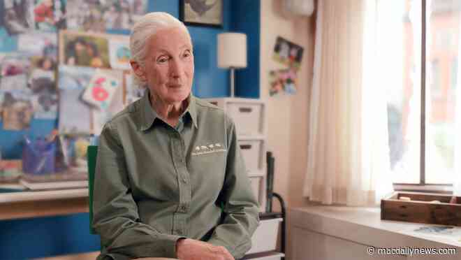 Apple TV+ unveils first look of season three of ‘Jane,’ premiering April 18th