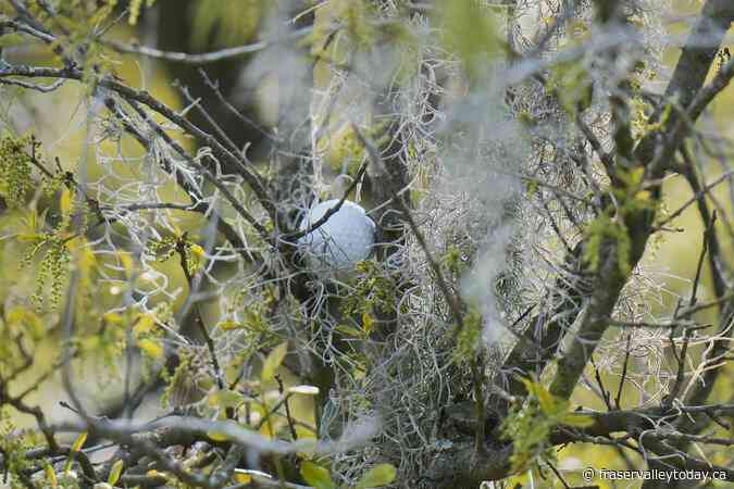 J.J. Spaun takes the lead at The Players Championship on windy day that wrecked rounds