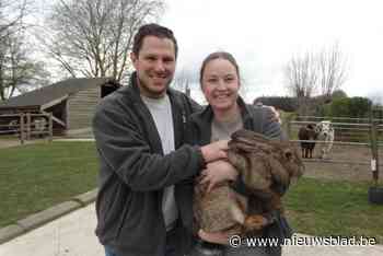 Karlien (31) en Willem (36) heropenen deuren van kinderboerderij ‘t Wollen Hof: “Kinderen zullen het boerderijleven ten volle kunnen beleven”