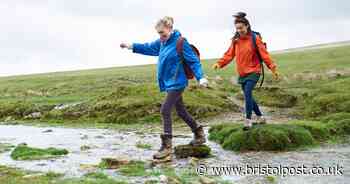 How much walking you should do per day to stay 'young', longevity professor shares