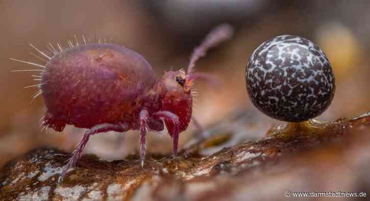 Aktionstag zum letzten Tag der Ausstellungen  »Ich muss mich erst mal sammeln« und »Wildlife Photographer of the Year«