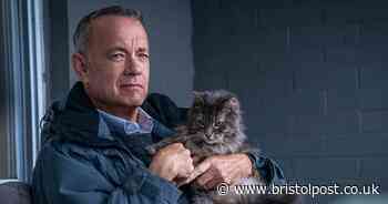 Psychiatrist says watching five films can boost your emotional intelligence