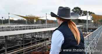 Two Chicks, No Rooster: How to keep hopes alive after a bad run of dates